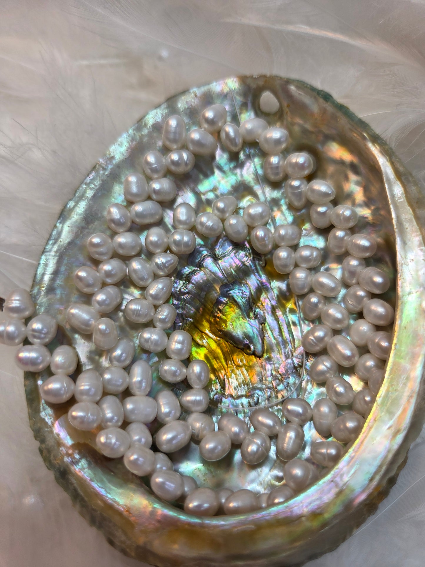 White Fresh Water Pearls